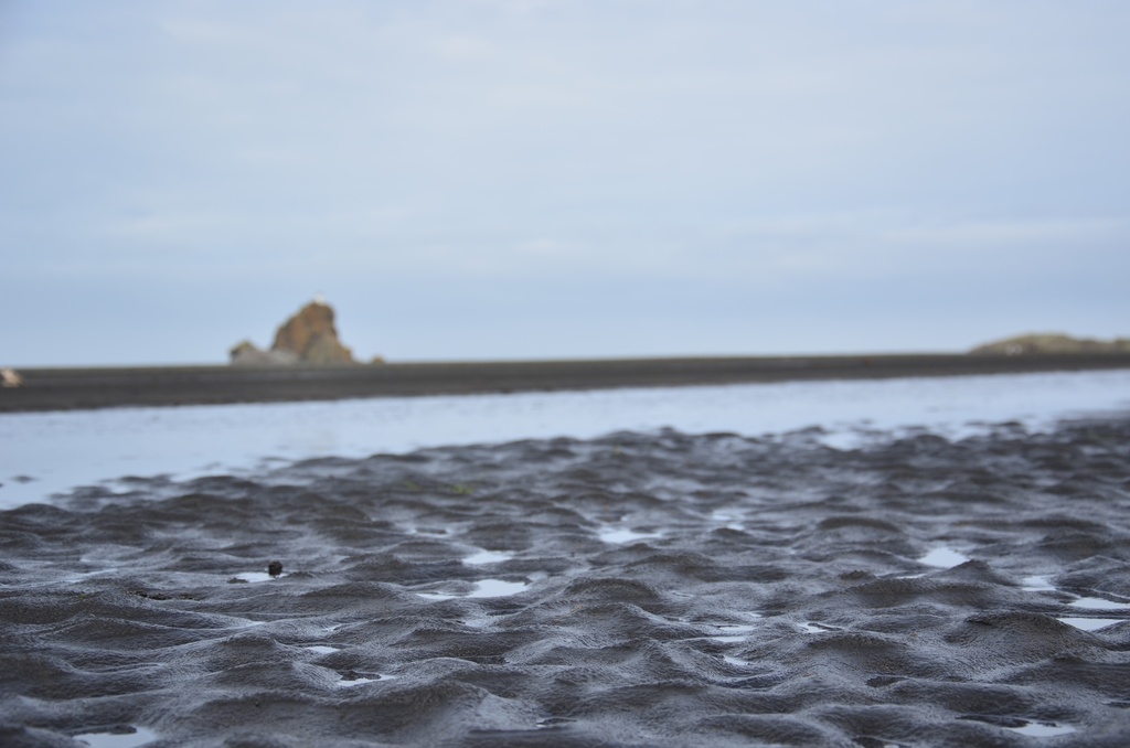 2017-03 New Zealand/Auckland Centenial Park/DSC_0010.JPG